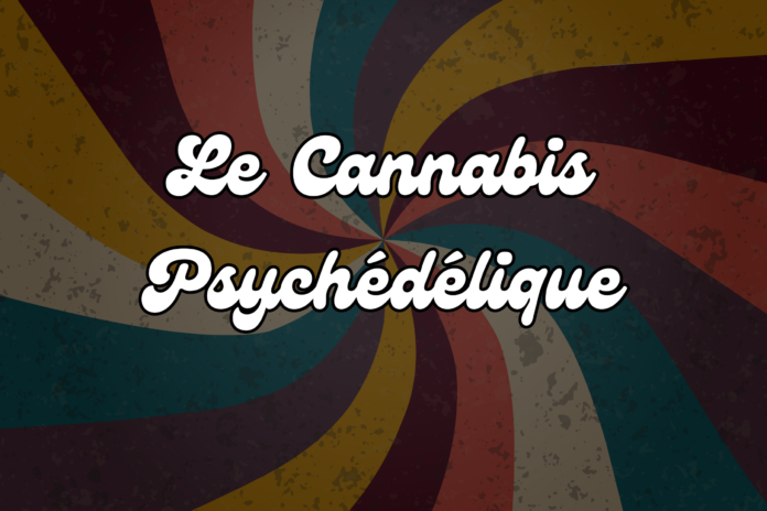 Cover Article Psychedelisme Cannabis - Testeur de CBD