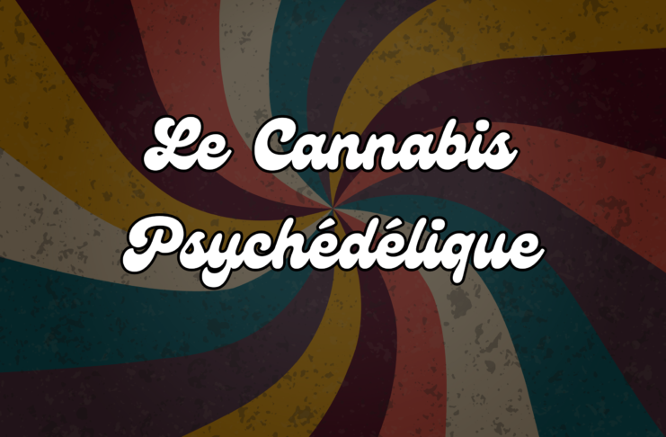 Le cannabis psychédélique