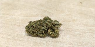 Critique de la Shao K (Izno Farm)