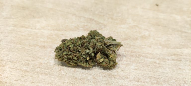 Critique de la Shao K (Izno Farm)