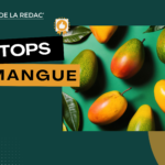 Les meilleures Mango CBD