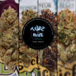 Découverte de Terpz en Herbe (Ferme Margeo)