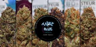 Découverte de Terpz en Herbe (Ferme Margeo)