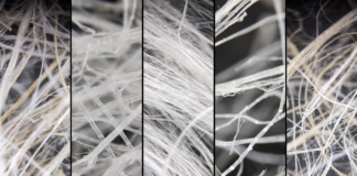 Les différentes fibres de chanvre et les alternatives (hash & extractions)