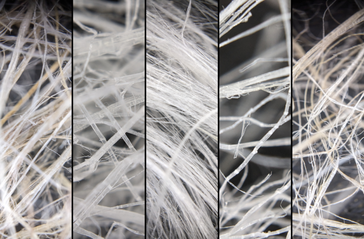 Les différentes fibres de chanvre et les alternatives (hash & extractions)