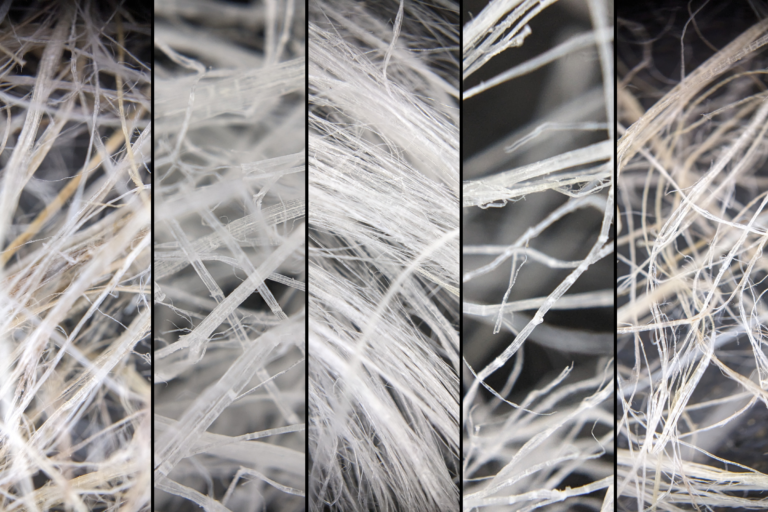 Les différentes fibres de chanvre et les alternatives (hash & extractions)