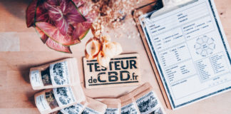 On découvre les Frères Canna !