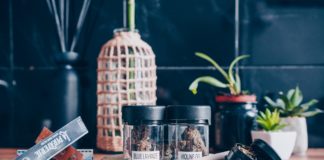 Blue Lavande et Violine OG (Happy Pousse)