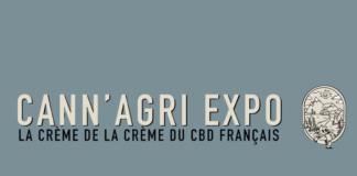 Platinum CBD Cup 2025 : Les résultats, nos notes