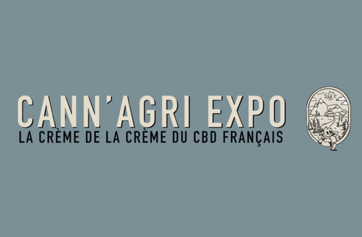 Platinum CBD Cup 2025 : Les résultats, nos notes