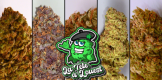 Je teste la Tête à l’Ouest !