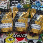 Découverte de Poisson Vert !