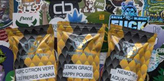 Découverte de Poisson Vert !