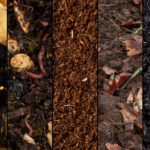 Tout savoir sur le sol vivant