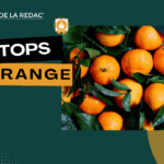 Les meilleures orange CBD