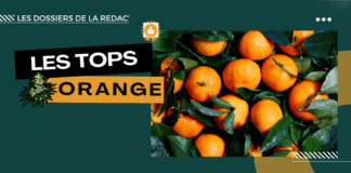 Les meilleures orange CBD