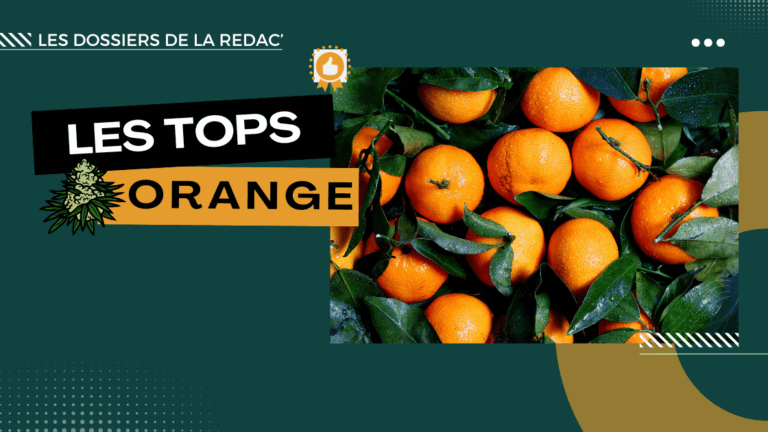 Les meilleures orange CBD