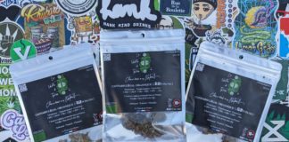 Découverte de La Verte de Terre !