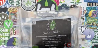 Les variétés 2024-2025 de La Verte de Terre