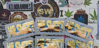 Les pépites 2024-2025 de Sweet CBD France