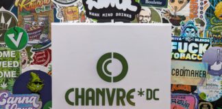 Je teste les fleurs Chanvre DC x Kanut