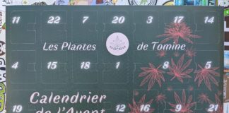 Le calendrier de l’Avent signé Tomine