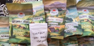 On a testé les dernières de Blato CBD !