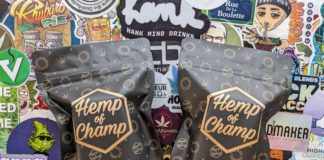 Les derniers hash d’Hemp of Champ