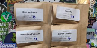 J’ai testé Sud Ouest Farming !