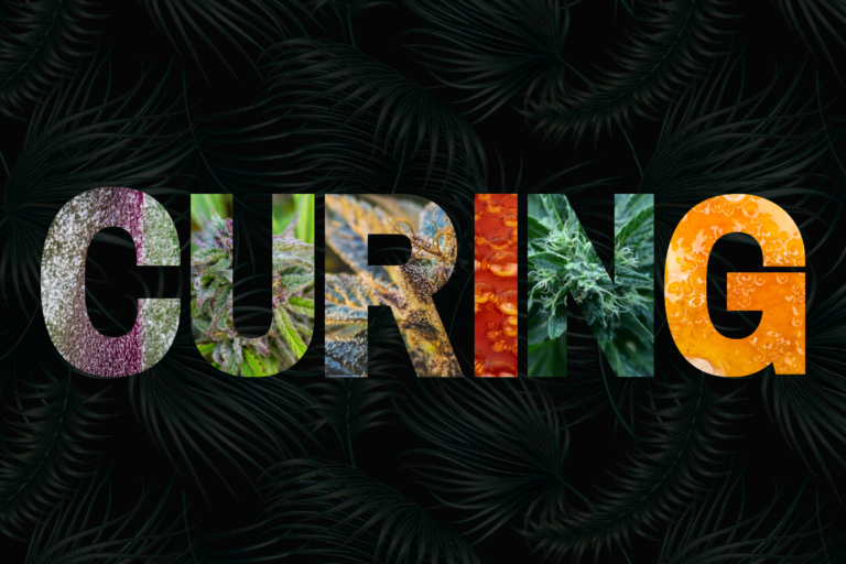 Tout savoir sur le curing
