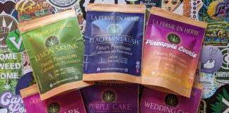 La Ferme en Herbe, toujours au top !