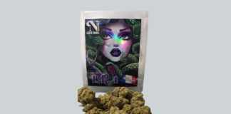 Test d’une fleur de Neogreen Cbd Box !