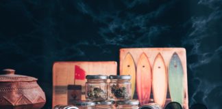 Terpz en Herbe, saison 2024-2025