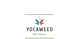 Yocaweed – Fiche Technique et Avis