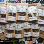 On (re) teste Cannapoitou !