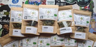 On (re) teste Cannapoitou !