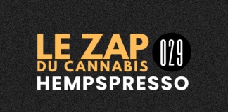 Hempspresso 029 | Le Zap du Canna