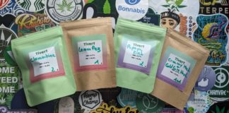 Découverte de Tivert !