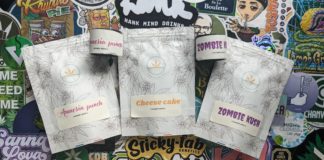 J’ai testé l’Herbe Enchantée !