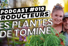 Interview des Plantes de Tomine