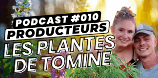 Interview des Plantes de Tomine