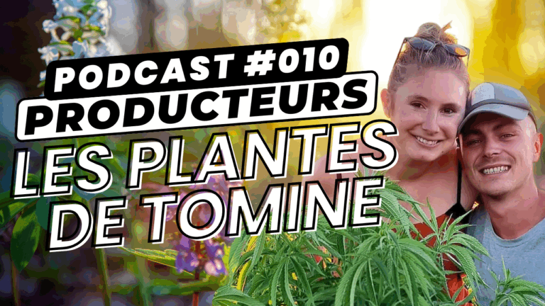 Interview des Plantes de Tomine