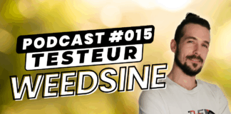 Interview de Weedsine (Max)