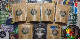 Découverte de Cannababa !