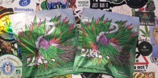 Plush Berry & White Haze (Honest)