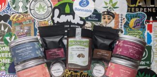 Les résines des Plantes de Tomine