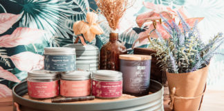 Les Plantes de Tomine, fleurs 2025