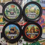 Découverte de la Maison Nassoy-Le Baron