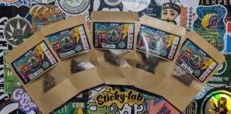 Découverte d’Apex CBD !