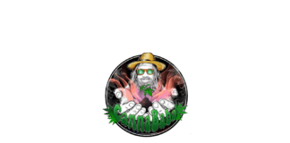 Cannababa – Fiche Technique et Avis